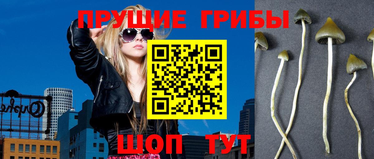 Псилоцибиновые грибы мухоморы  Вход с VPN  Бийск 
