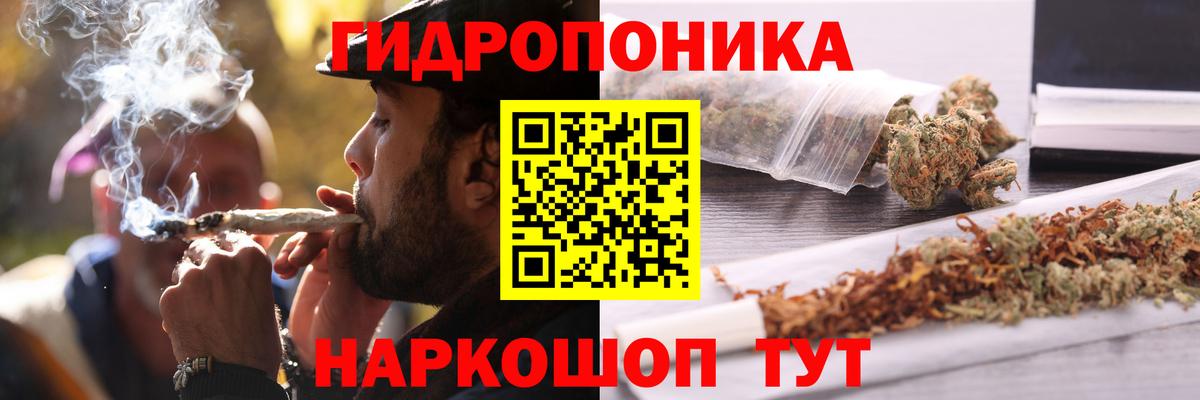 Бошки марихуана план  Вход с VPN  Марихуана OG Kush  Бийск  Марихуана семена 